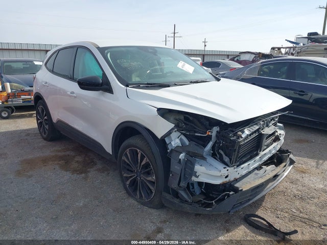 Salvage Ford Escape Image