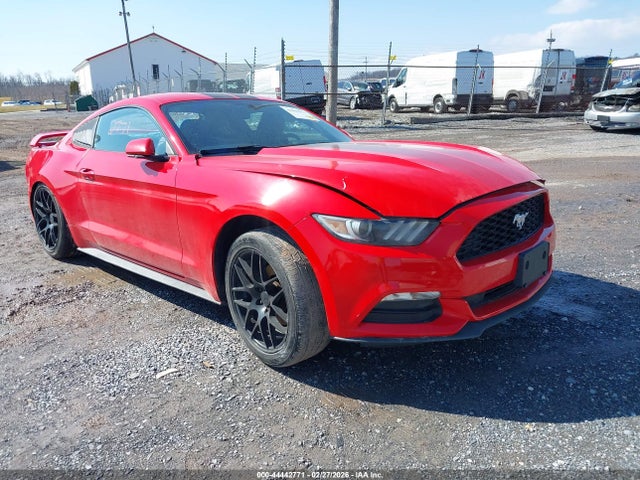 Salvage Ford Mustang Image