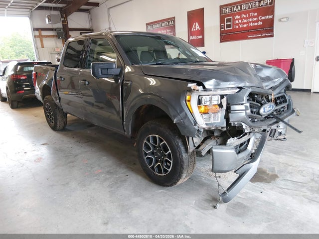 Salvage Ford F-150 Image