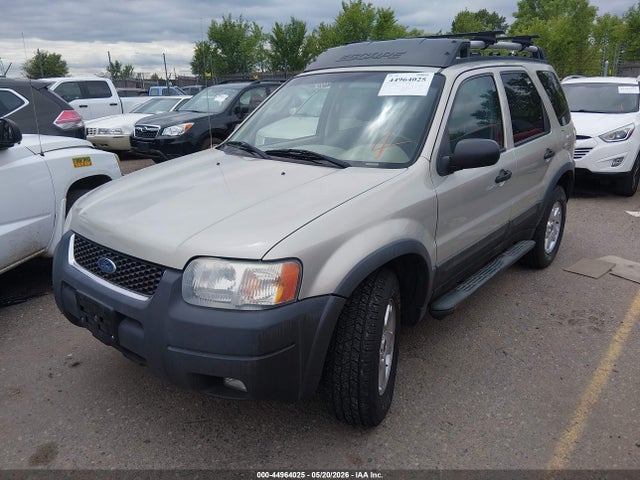 Ford Escape Xlt