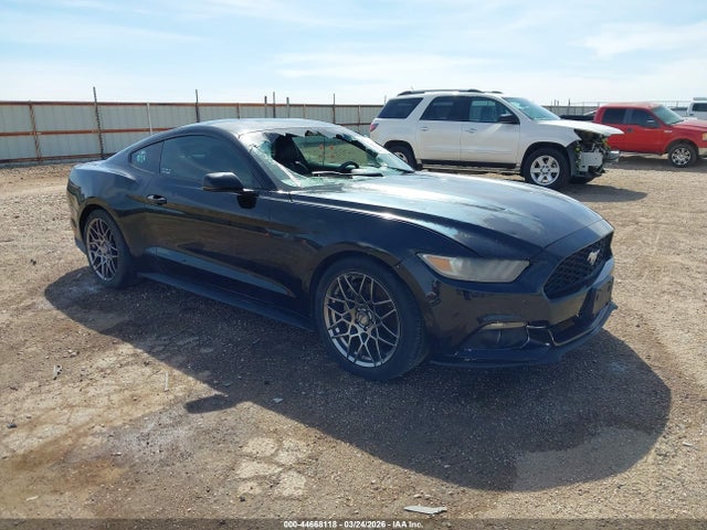 Salvage Ford Mustang Image