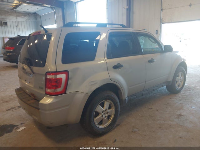 Ford Escape Xlt