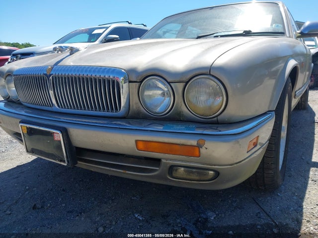 Jaguar Vandenplas
