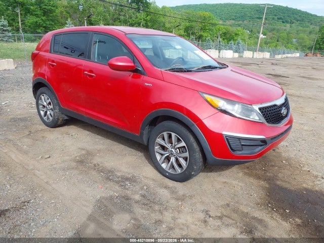 Salvage Kia Sportage Image