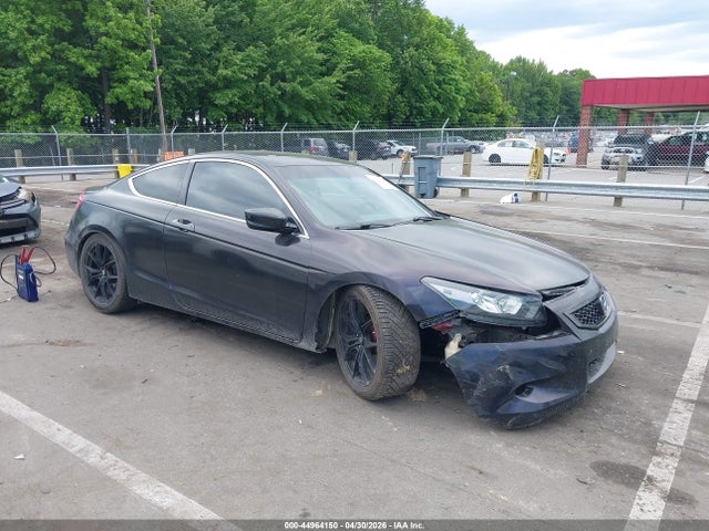 Salvage Honda Accord Image