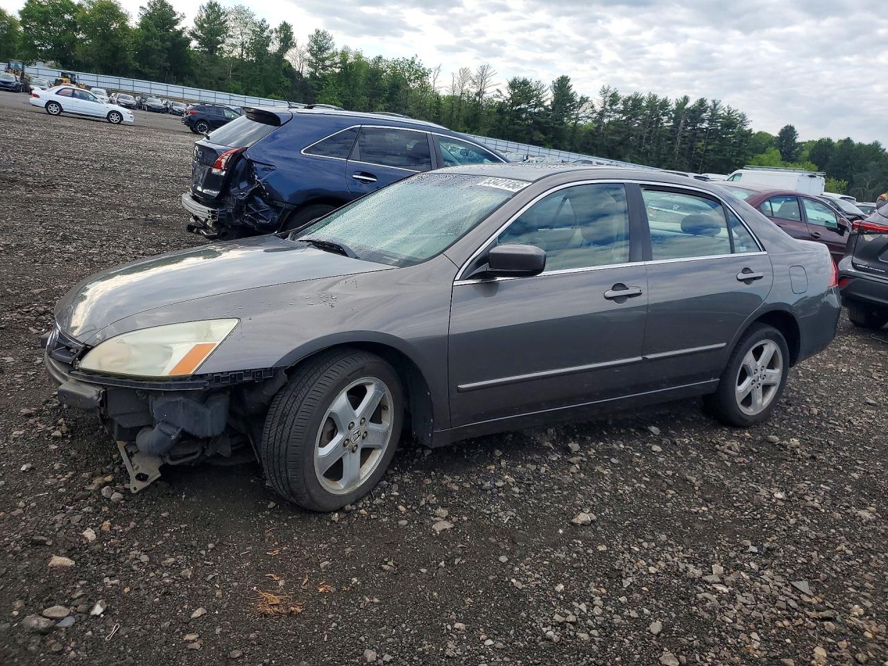 Salvage Honda Accord Image