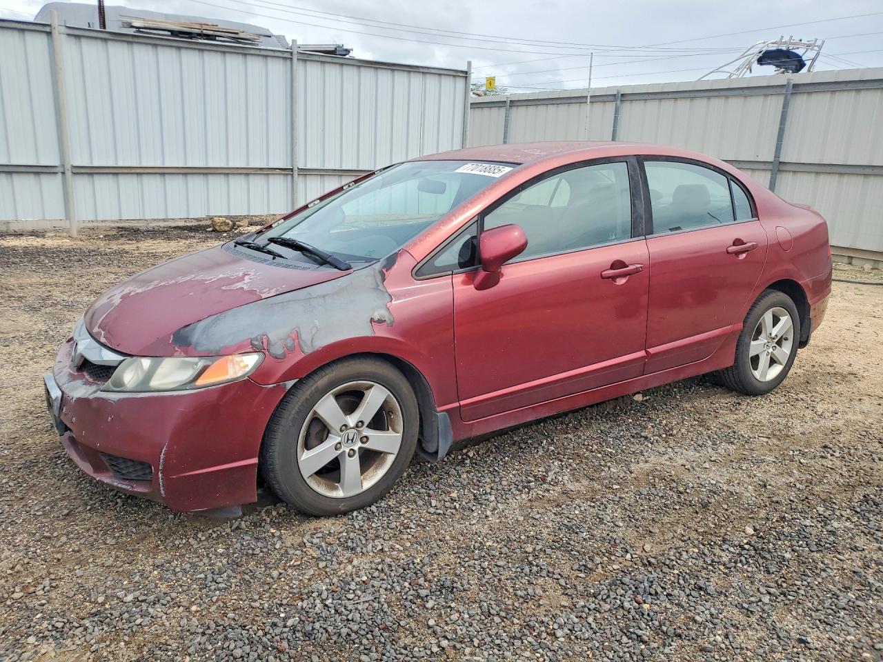 Salvage Honda Civic Image