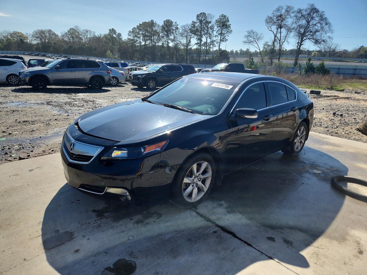 Salvage Acura TL Image