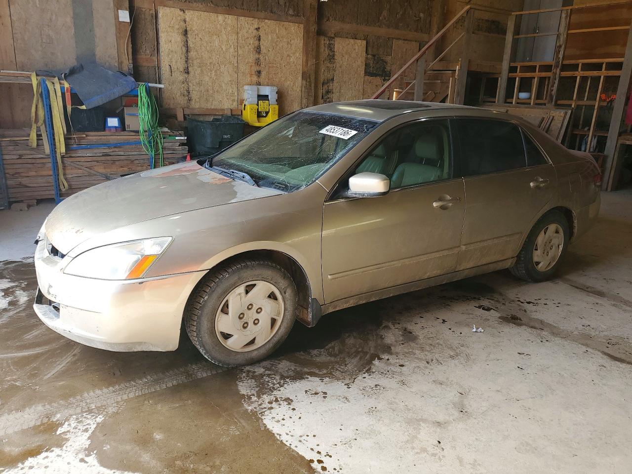 Salvage Honda Accord Image