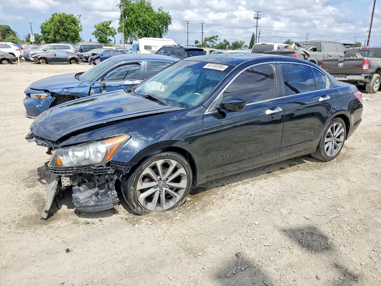 Salvage Honda Accord Image