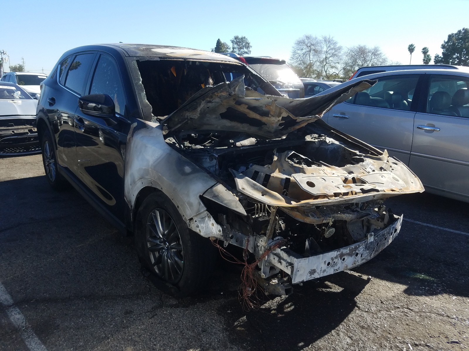 Salvage Mazda Cx Image