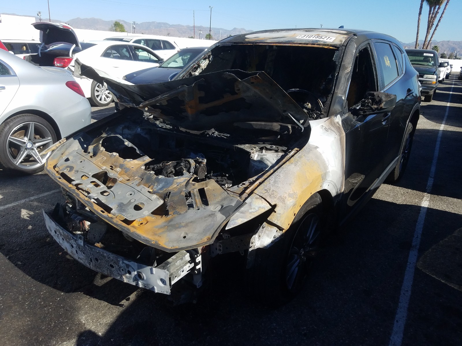 Mazda Cx Sport