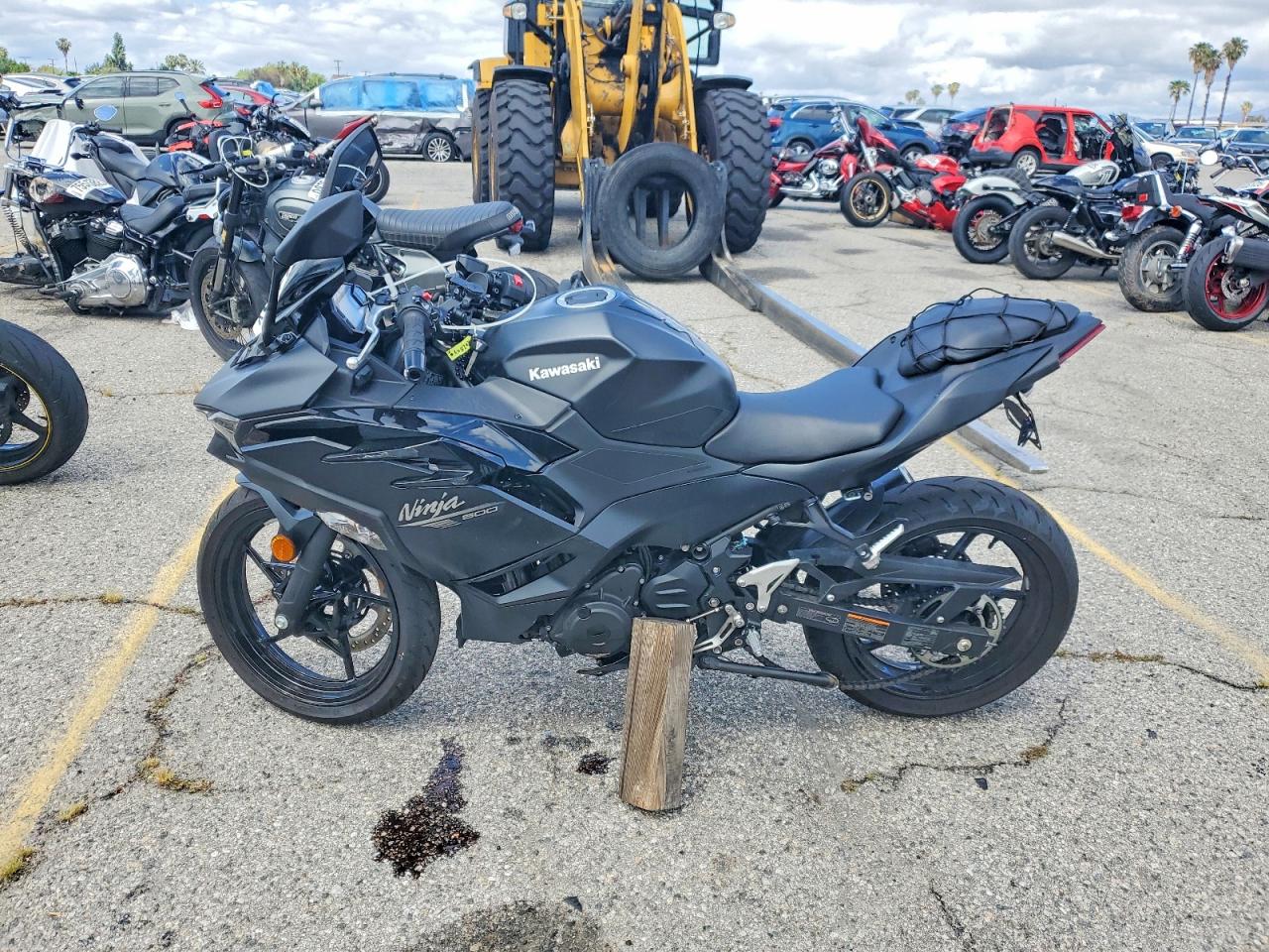 Kawasaki Ex