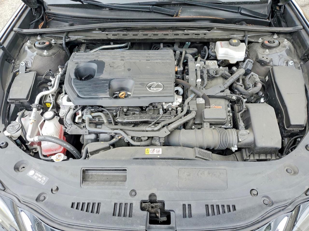 Lexus Es Base