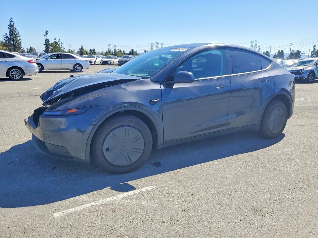 Salvage Tesla Model Y Image