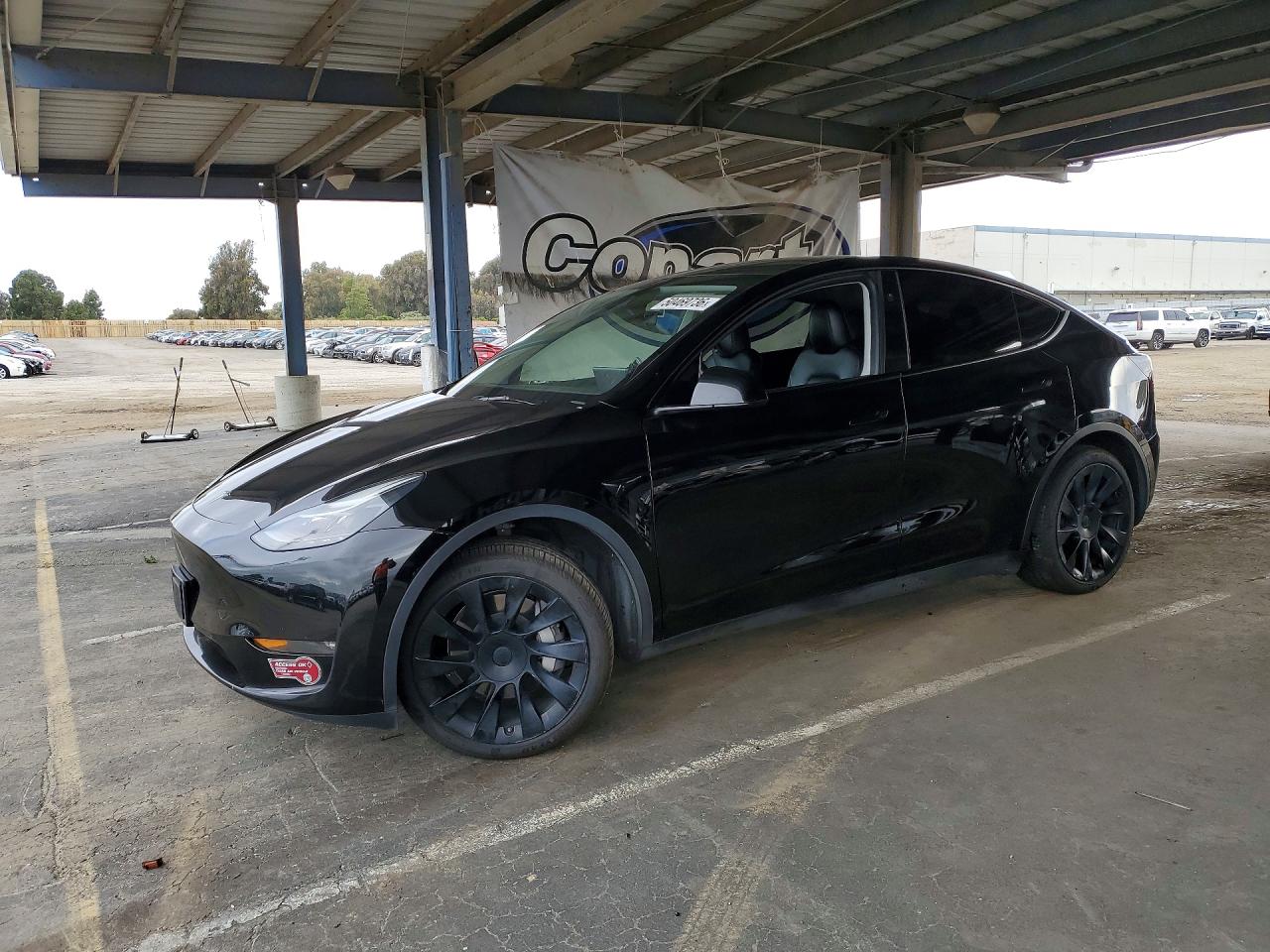 Salvage Tesla Model Y Image