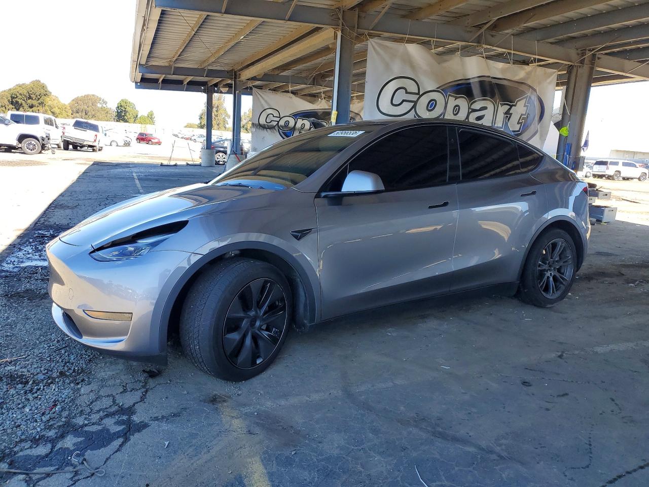 Salvage Tesla Model Y Image