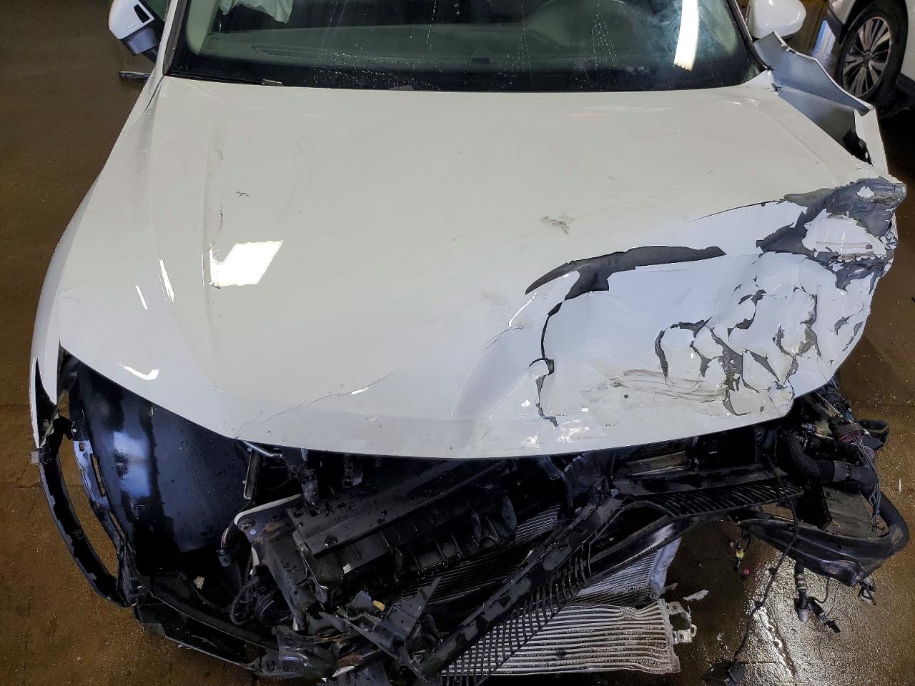 Volkswagen Tiguan Se