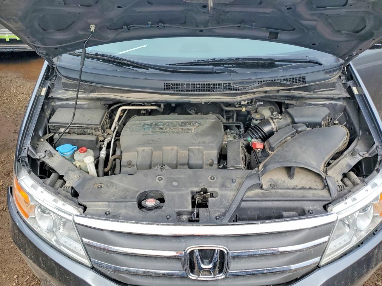 Honda Odyssey Exl