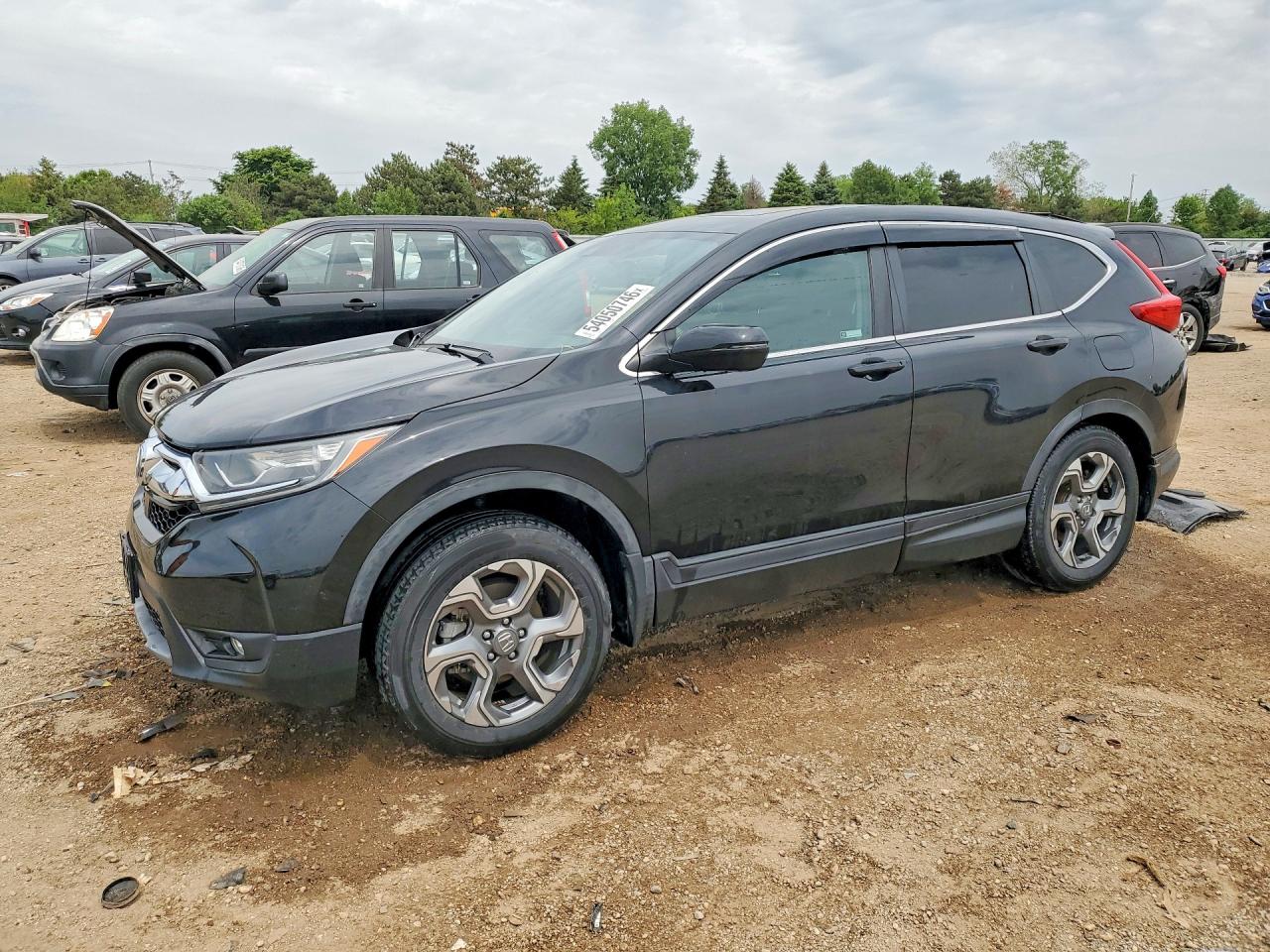 Salvage Honda Crv Image