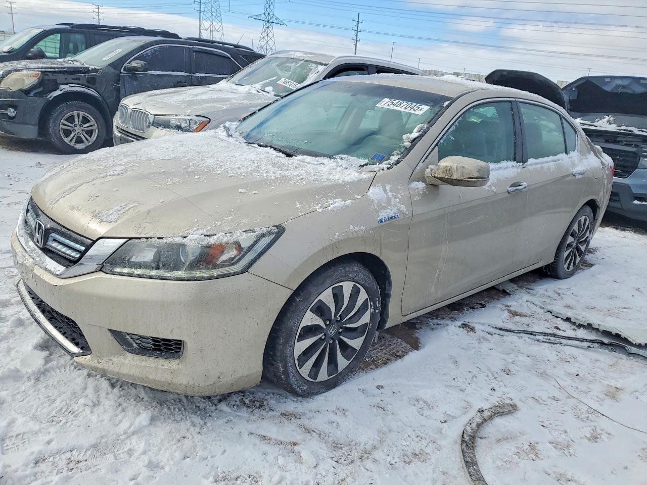 Salvage Honda Accord Image