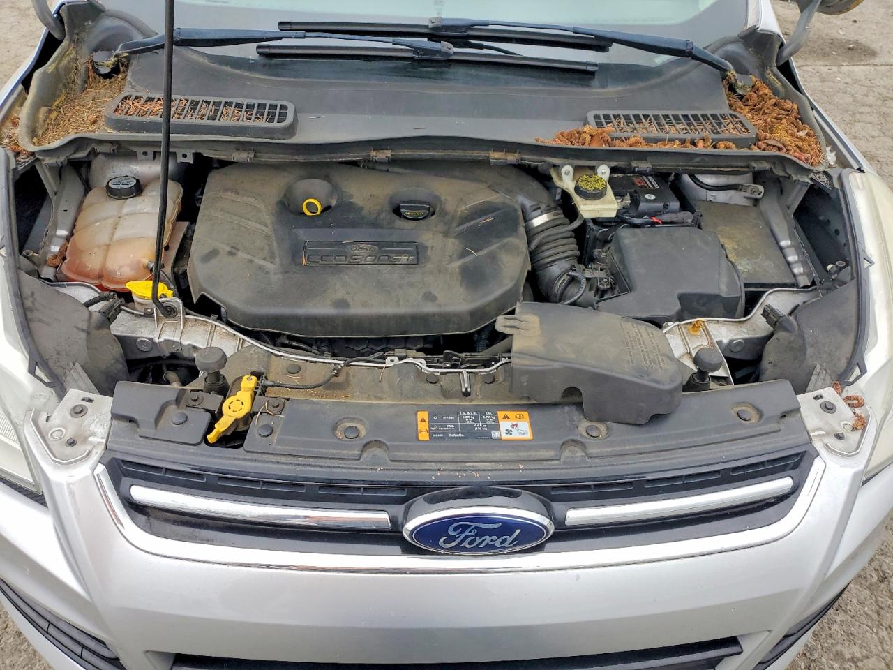 Ford Escape Sel