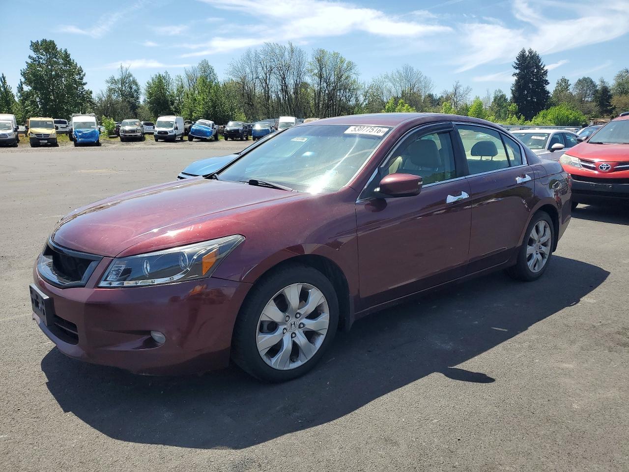 Salvage Honda Accord Image