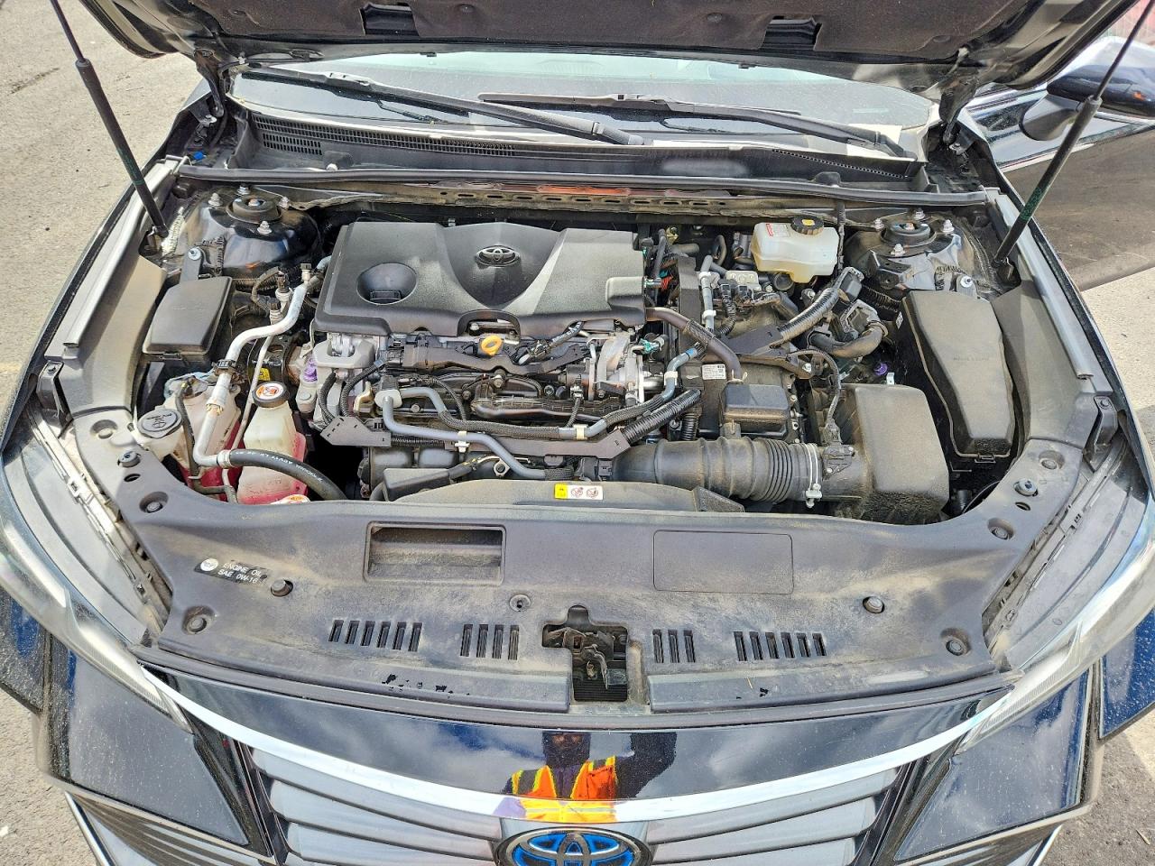 Toyota Avalon Limited