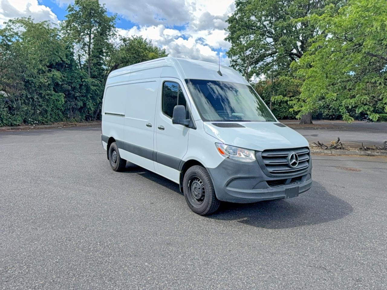 Salvage Mercedes-Benz Sprinter Image