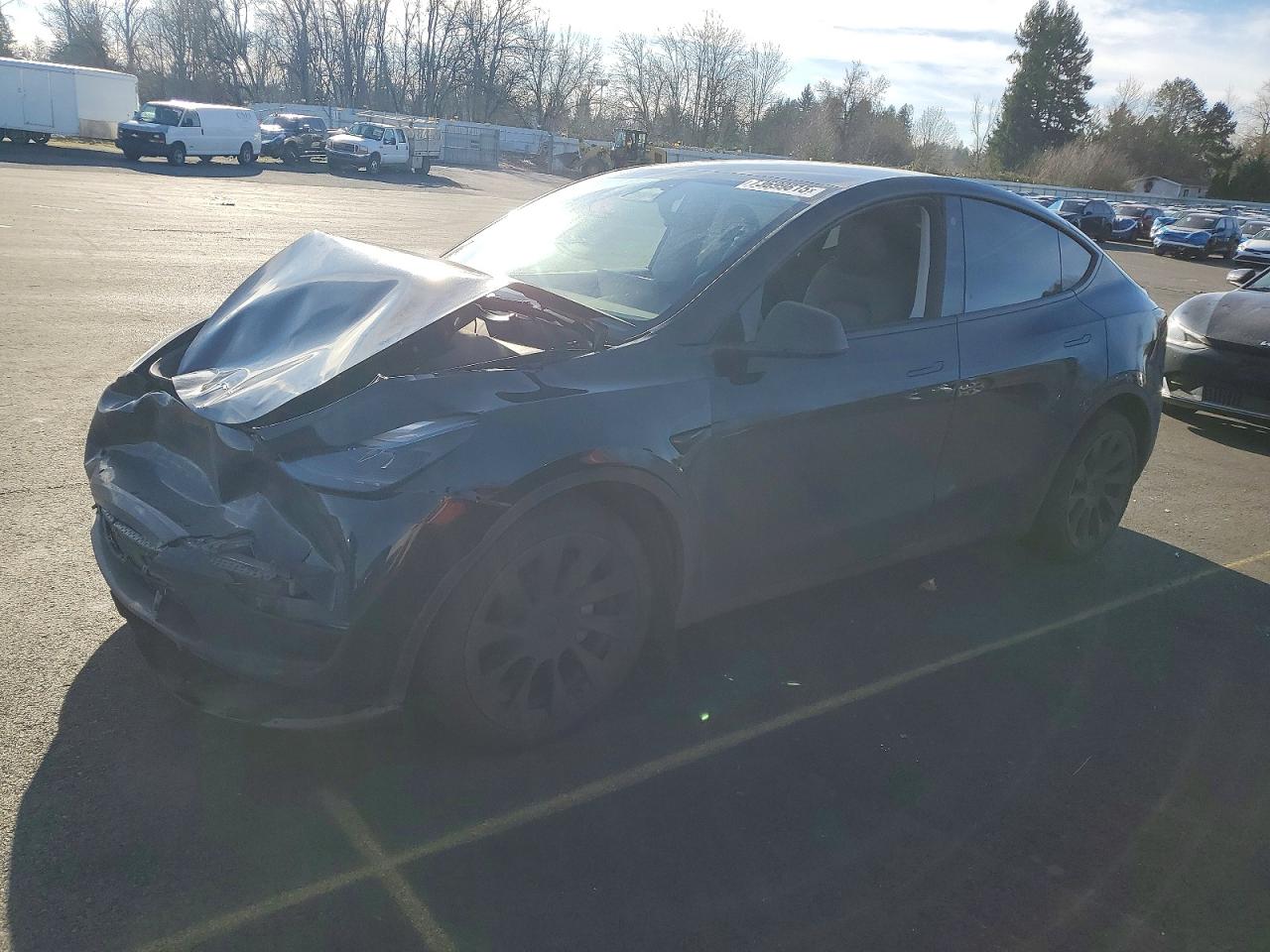 Salvage Tesla Model Y Image
