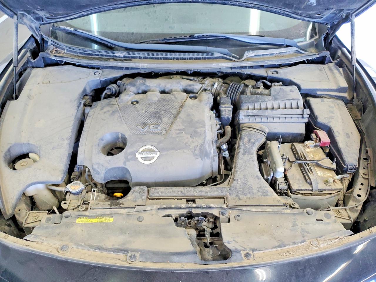 Nissan Maxima 3.5 S