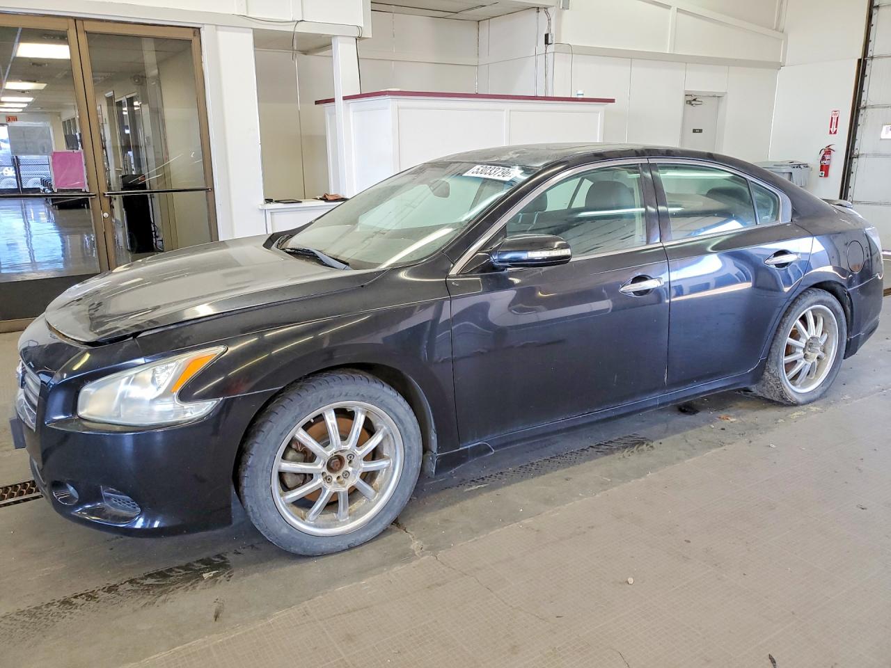 Salvage Nissan Maxima Image