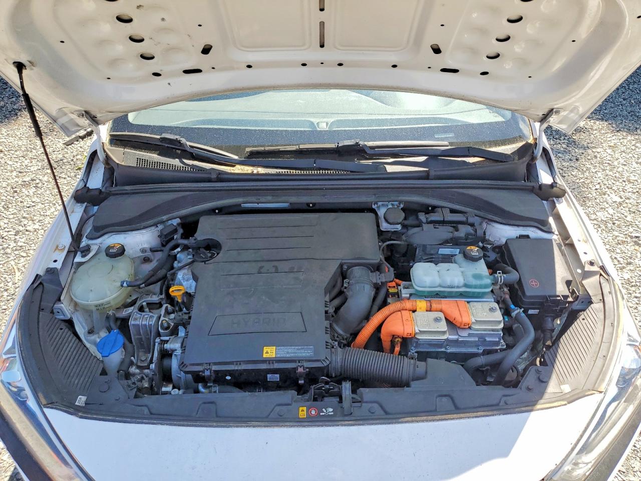 Hyundai Ioniq Blue