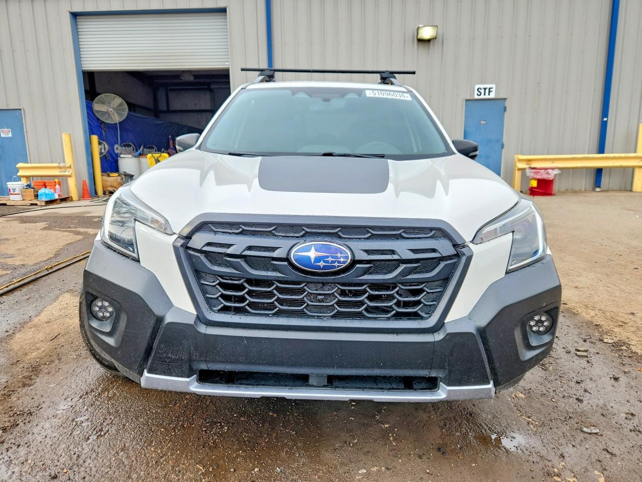Subaru Forester Wilderness