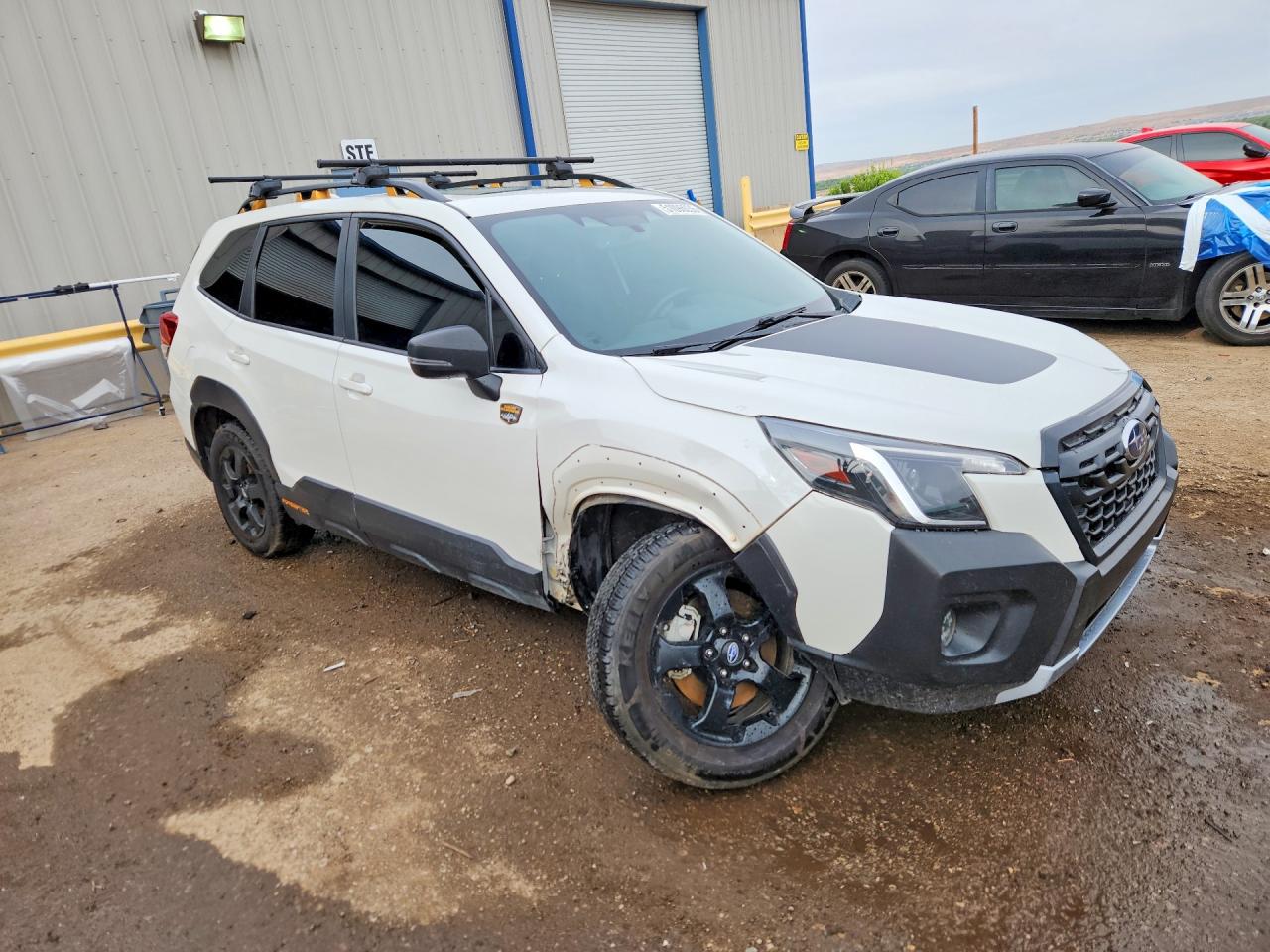 Subaru Forester Wilderness