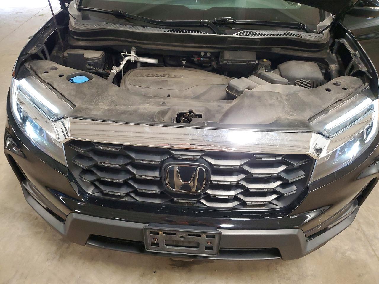 Honda Passport Exl