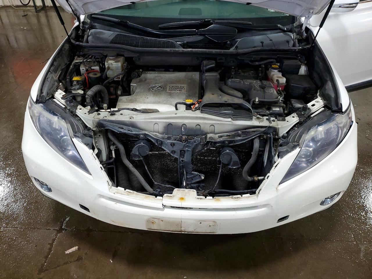 Lexus RX Base