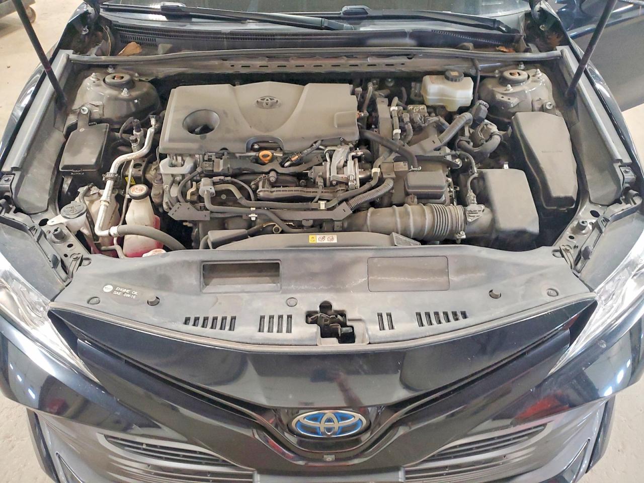 Toyota Camry Xle