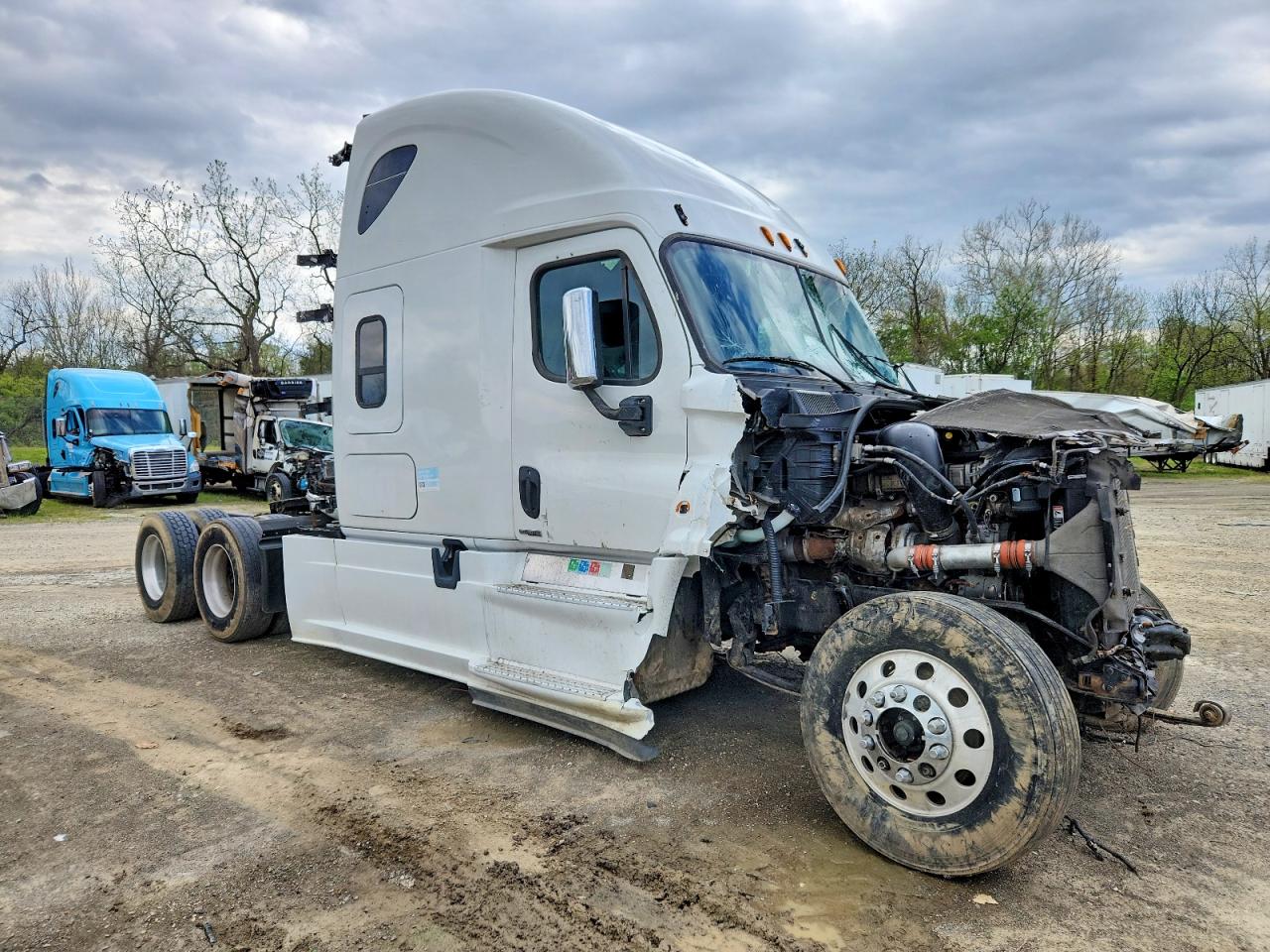 Salvage Freightliner Cascadia 125 Image