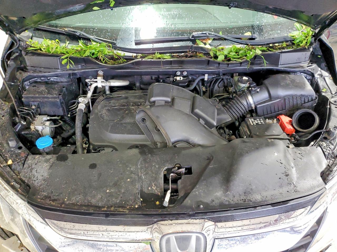 Honda Odyssey Exl