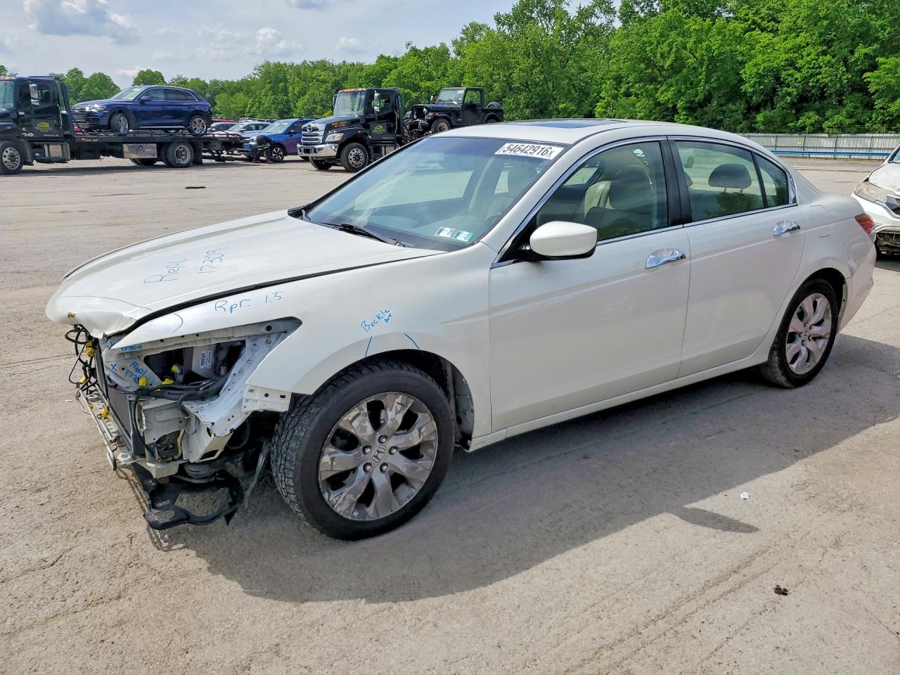 Salvage Honda Accord Image