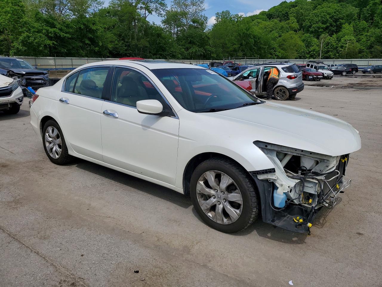 Honda Accord Exl