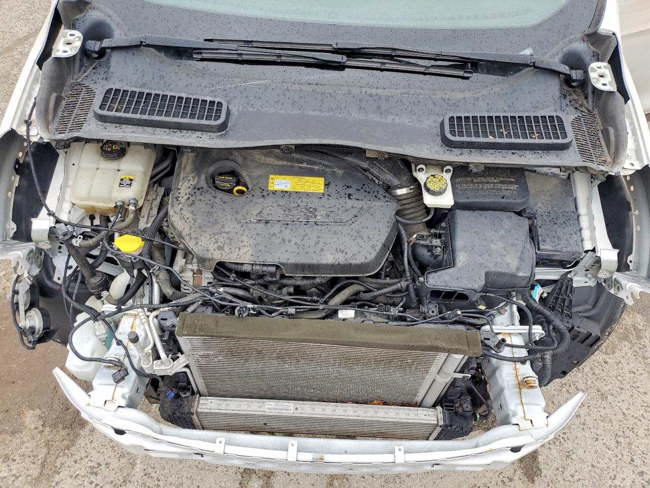 Ford Escape Sel