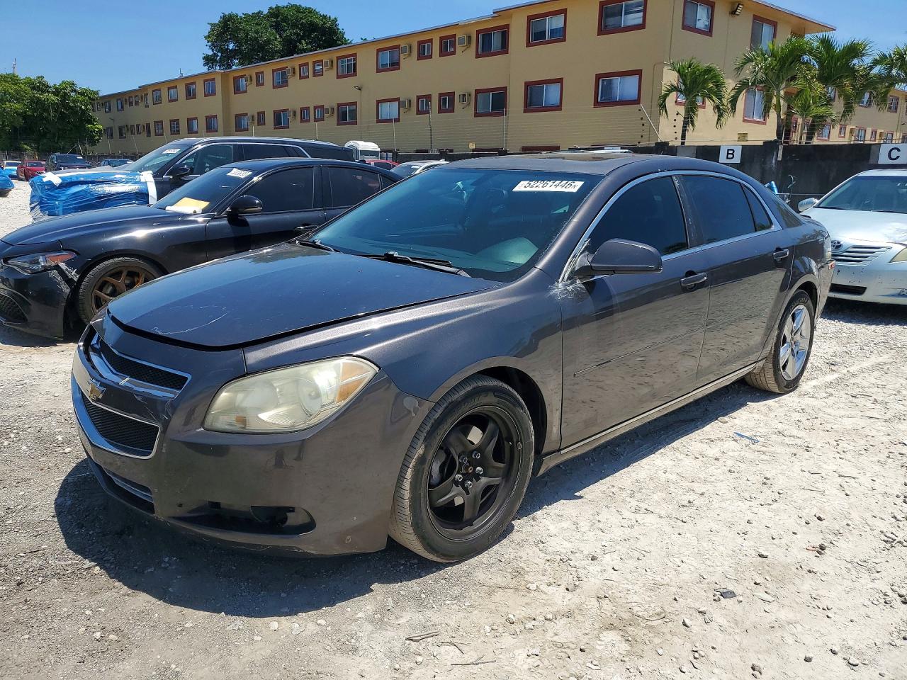 Salvage Chevrolet Malibu Image