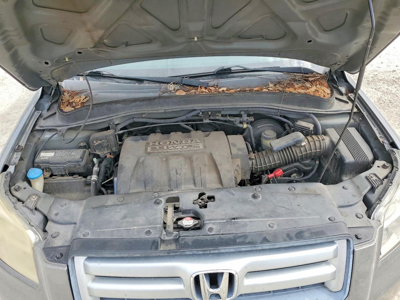 Honda Pilot Vp