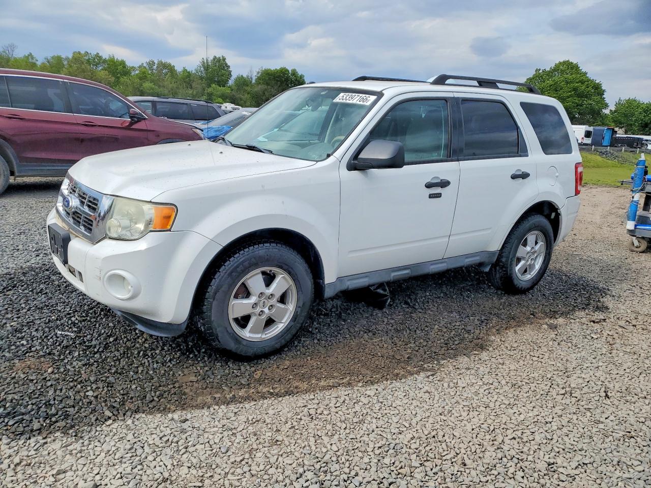 Salvage Ford Escape Image