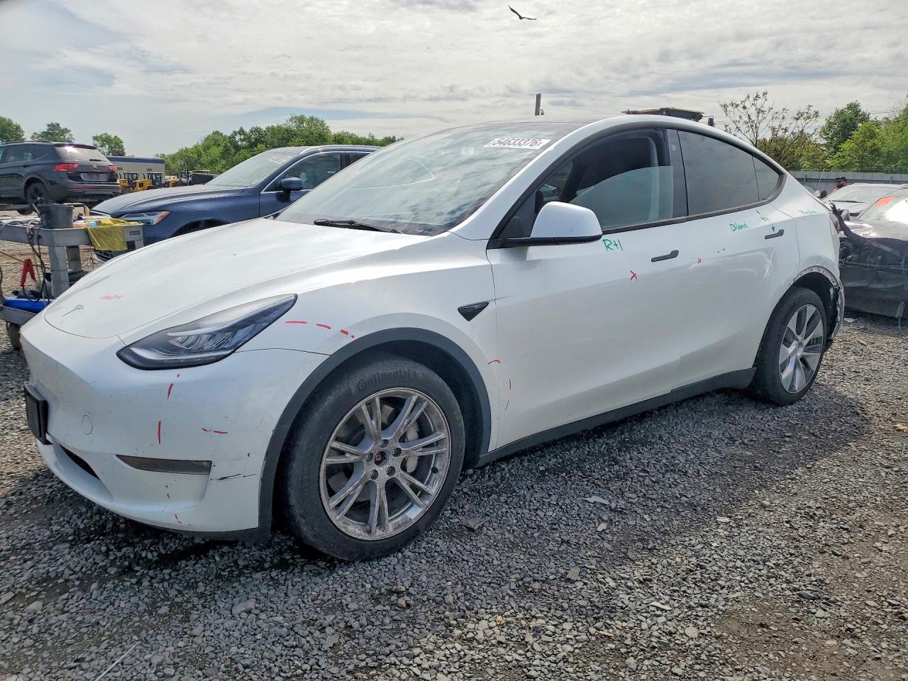 Salvage Tesla Model Y Image
