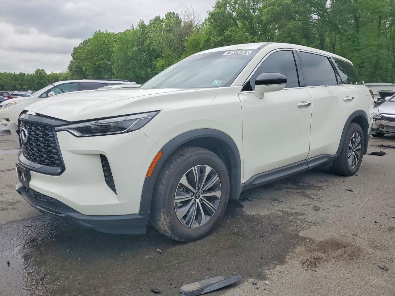 Salvage INFINITI Qx Image