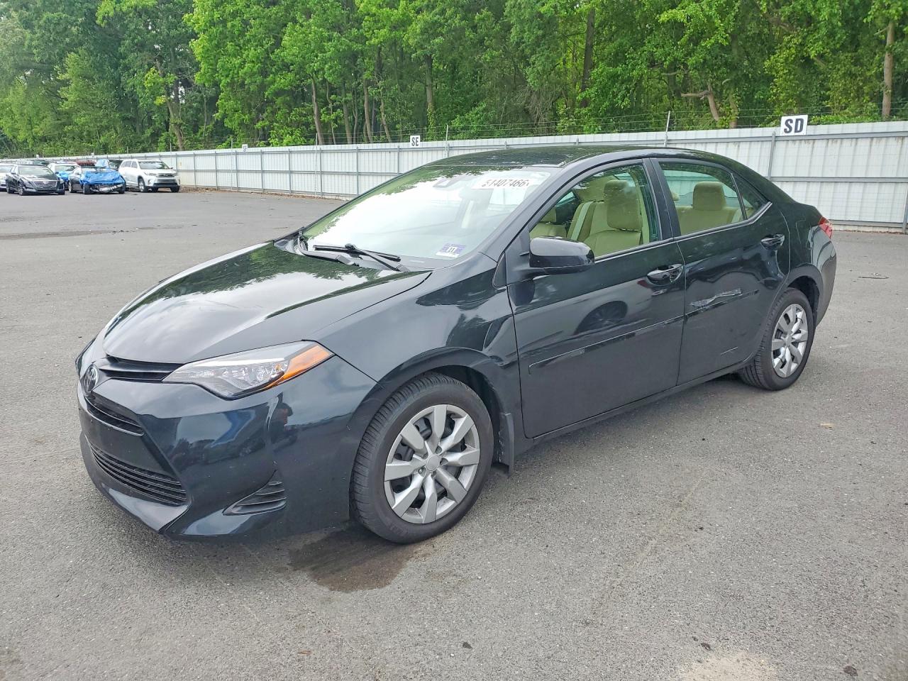 Salvage Toyota Corolla Image