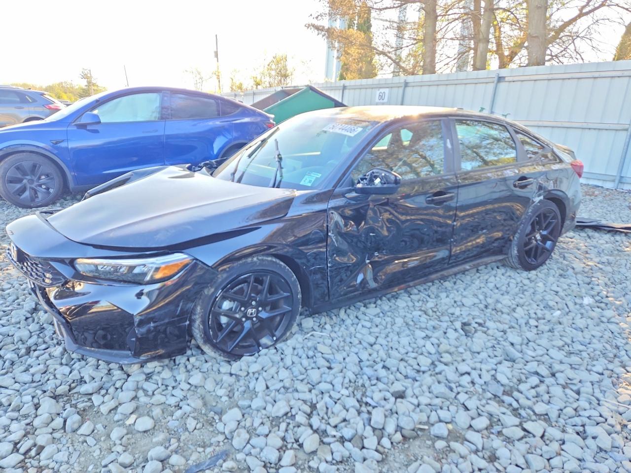 Salvage Honda Civic Image
